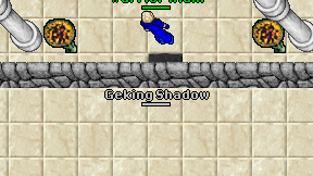 Geking Shadow on screen
