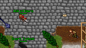 Dark Tybek on screen