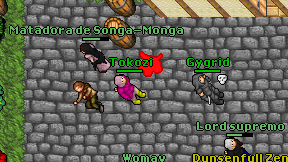 Tokozi on screen