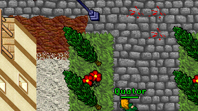 Quator on screen
