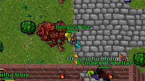Jungle Vibe on screen
