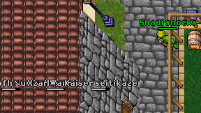 Kaiser seitikaze on screen