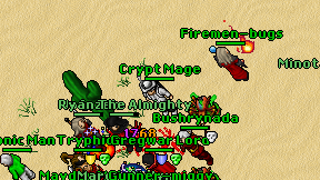 Crypt Mage on screen