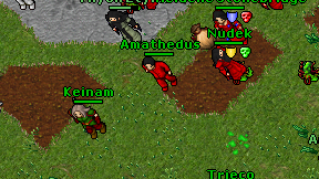 Amathedus on screen