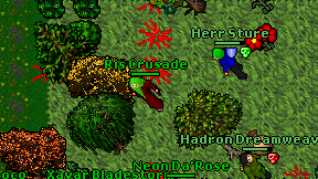 Ris Crusade on screen