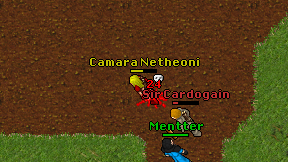 Camara Netheoni on screen
