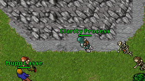 Clarity Process on screen
