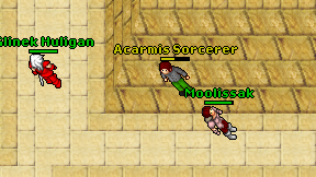 Acarmis Sorcerer on screen
