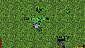 Macro Druida on screen