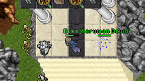 Eckej on screen