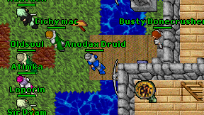 Anodax Druid on screen