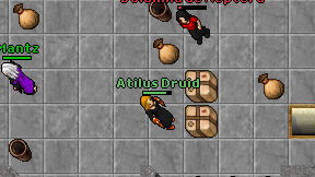 Atilus Druid on screen