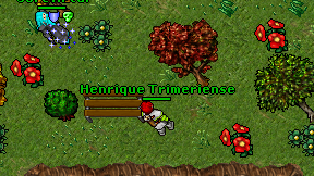 Henrique Trimeriense on screen