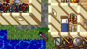 Vulnix on screen