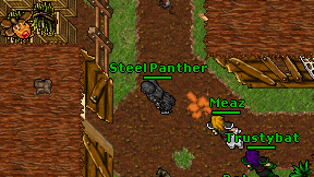 Steel Panther on screen