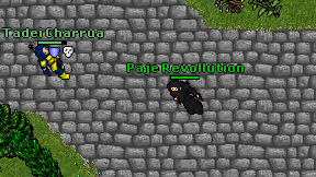 Paje Revollution on screen