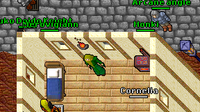 Honki on screen