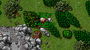 Kala Arina on screen