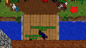Schimpansen on screen