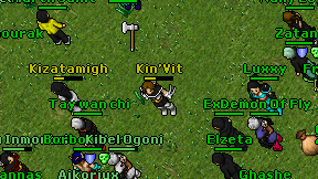 Kin'Vit on screen