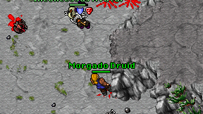 Morgado Druid on screen