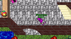 Fmszin on screen