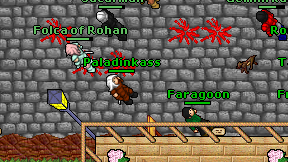 Paladinkass on screen