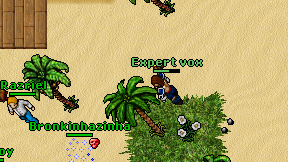 Expert vox on screen