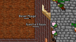Bear Mage on screen