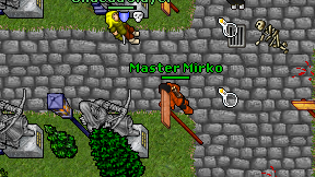 Master Mirko on screen