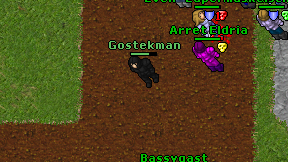 Gostekman on screen