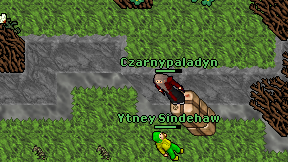 Czarnypaladyn on screen