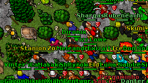 Dironix on screen
