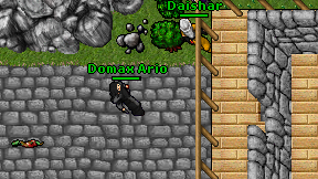 Domax Ario on screen