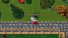 Laryda Druid on screen