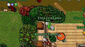 Elrescatado on screen