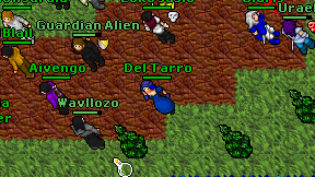 Del Tarro on screen