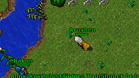 Arushen on screen