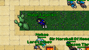 Mage Talariko on screen