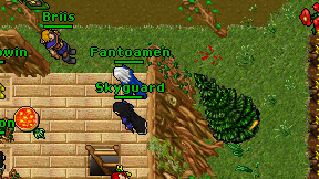 Skyguard on screen