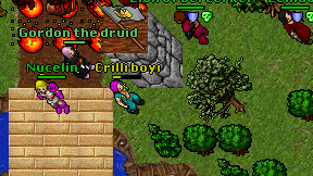 Crilli boyi on screen