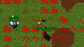 Pallady Strzala on screen
