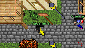 Tucanera on screen