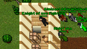 Knight of axe fighting on screen