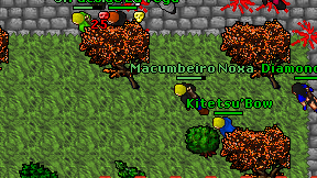 Macumbeiro Noxa on screen