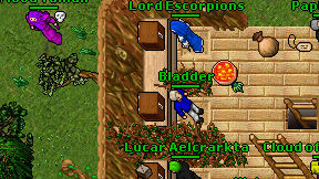 Bladder on screen
