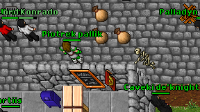 Piotrek pallik on screen