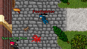 Foofighter on screen