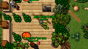 Anfidotum on screen