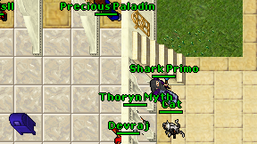 Precious Paladin on screen